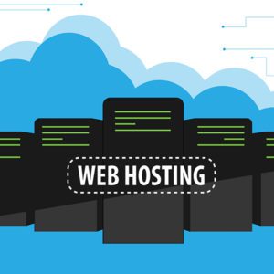 Hosting Package Basic