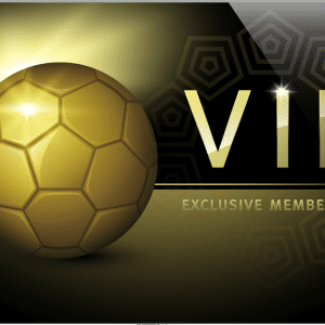 Victorious Club Fantasy Sports VIP Card