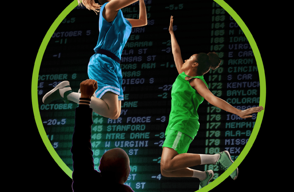 What is a Fantasy Sports Plugin?