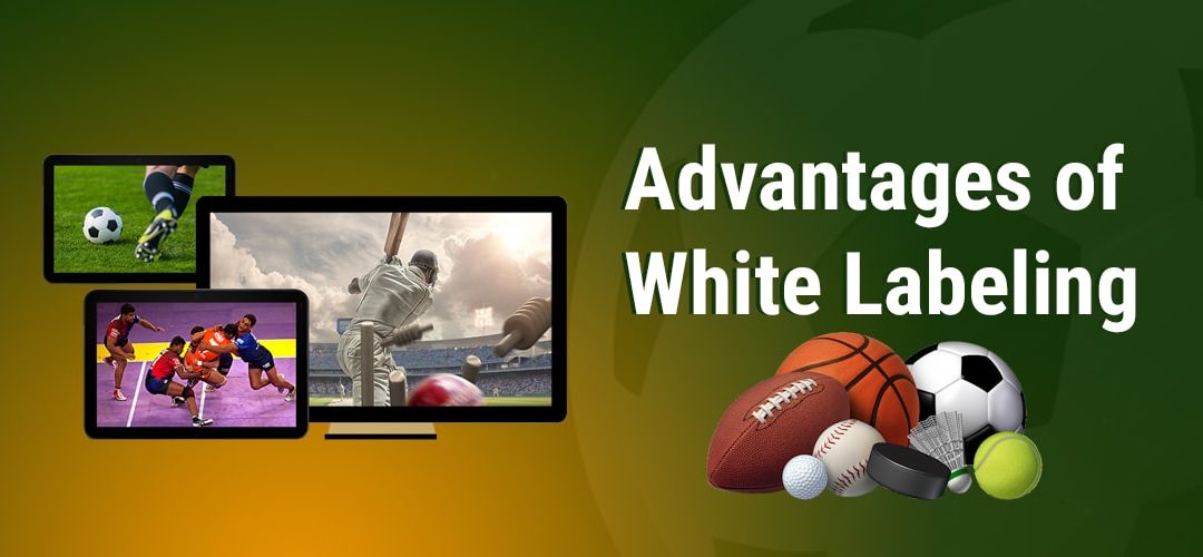 Why White Label Fantasy Sports Software is the Future of Gaming Customization